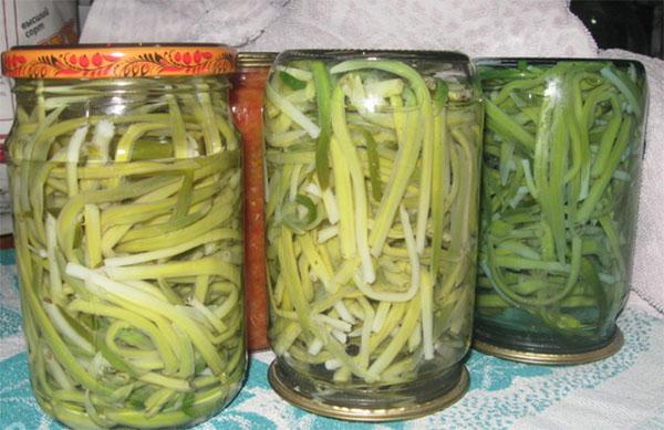 ajo silvestre enlatado para el invierno