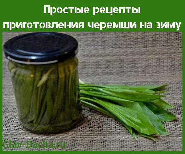 recetas para cocinar ajo silvestre para el invierno