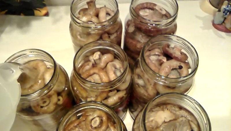 verser les champignons avec la marinade