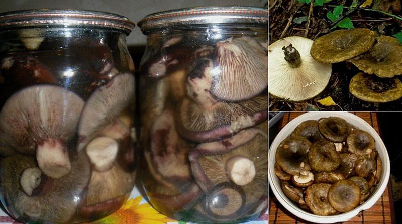 recetas para hacer serushki en escabeche