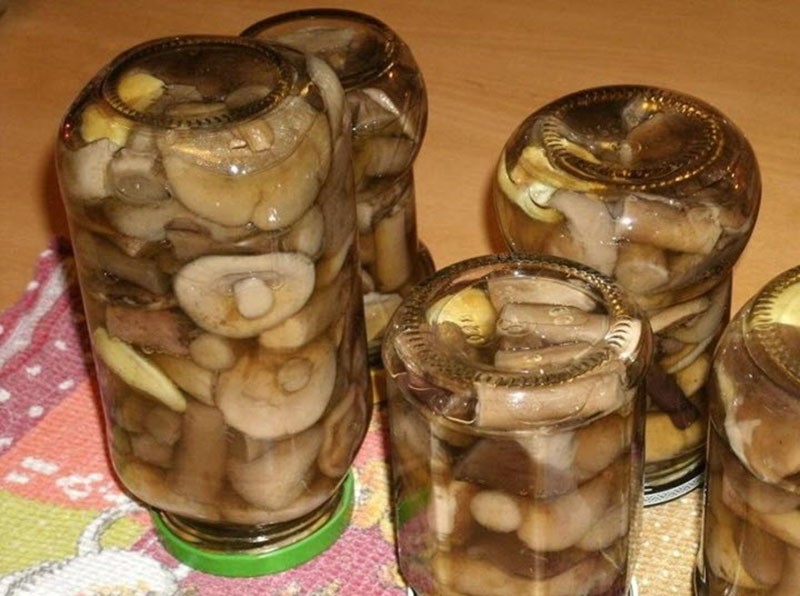 receta clásica de setas de estepa en escabeche