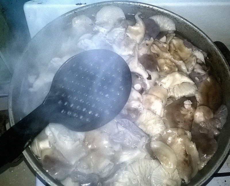 faire bouillir des champignons