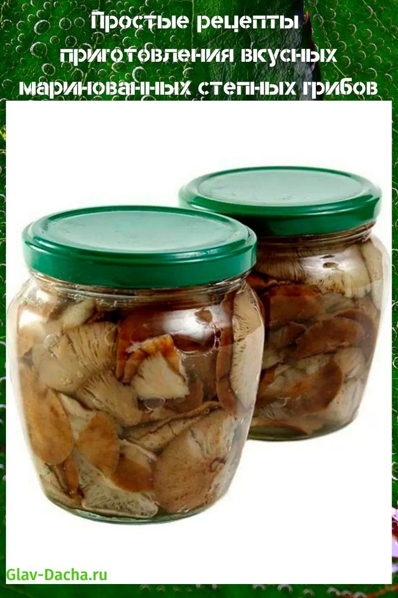 receta de setas de estepa en escabeche