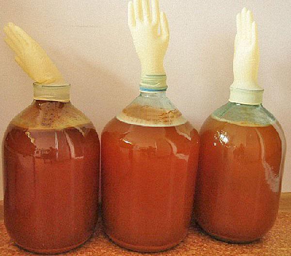 fermentation du jus de pomme