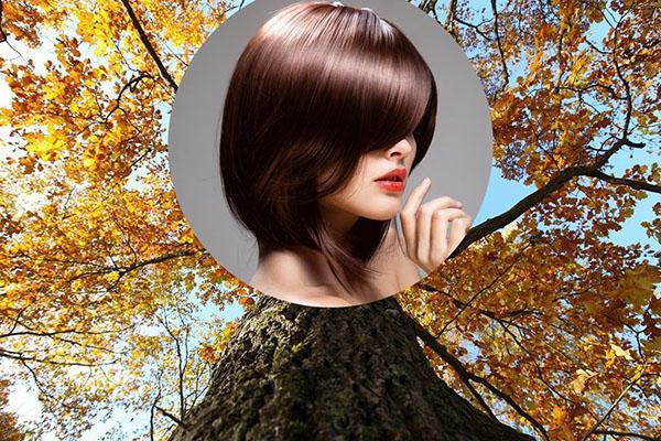 corteza de roble para un cabello sano