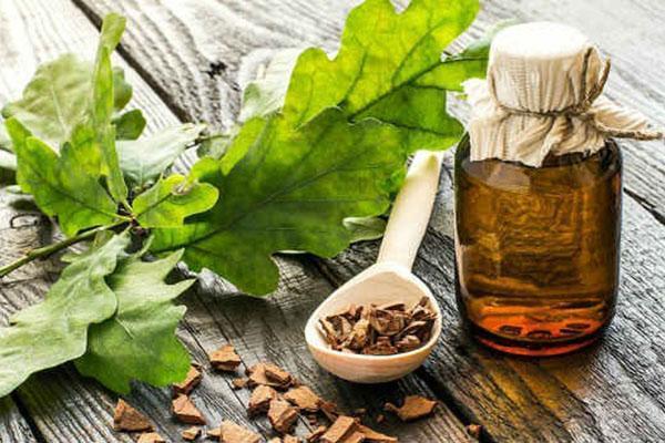 écorce de chêne pour faire de l'infusion