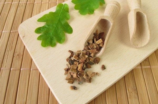feuilles et écorce de chêne