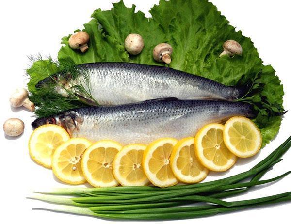 aperitivo de arenque