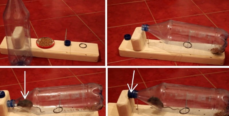 vidéo de piège à souris de bouteille en plastique