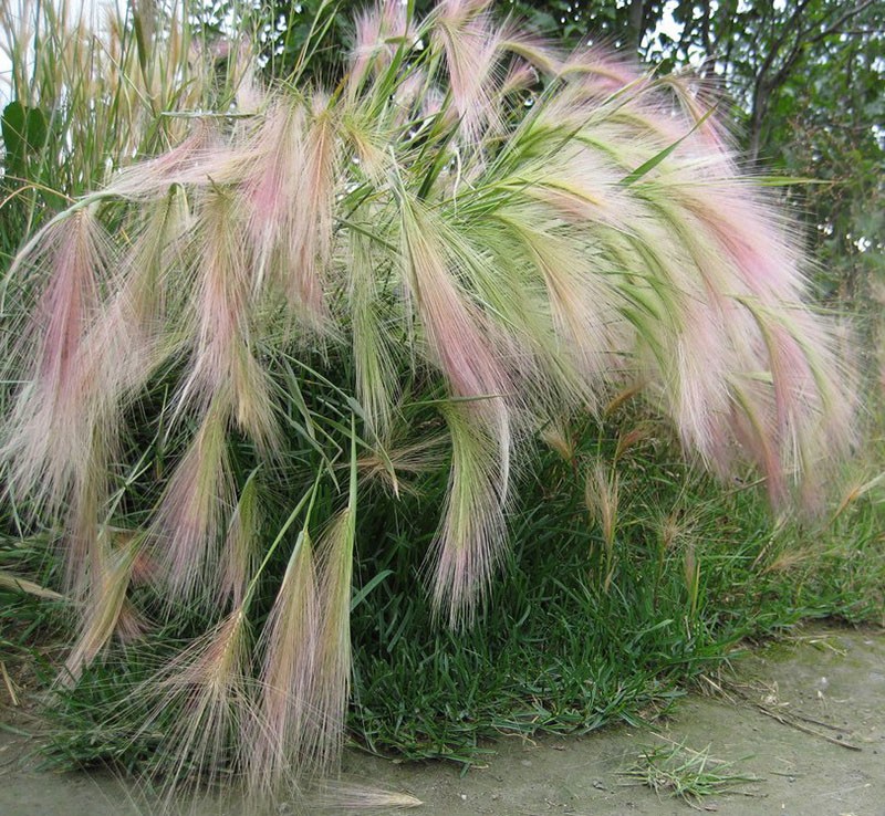 decoración de jardín brillante