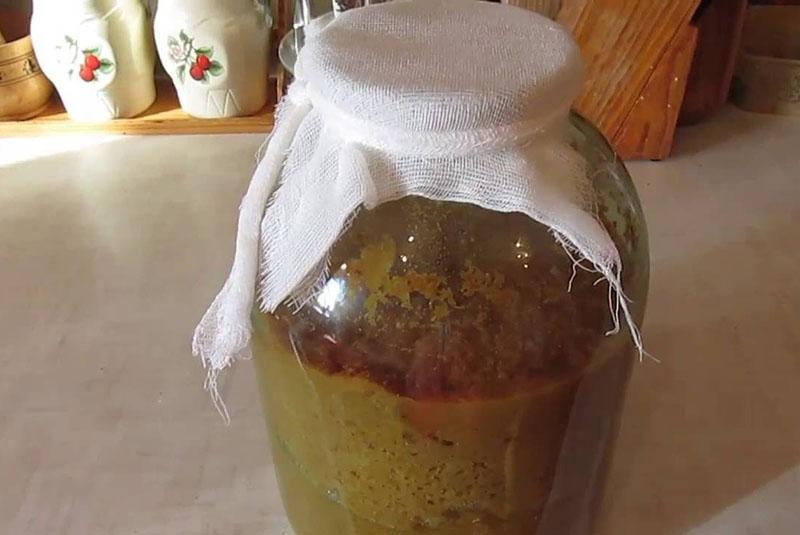fermentación