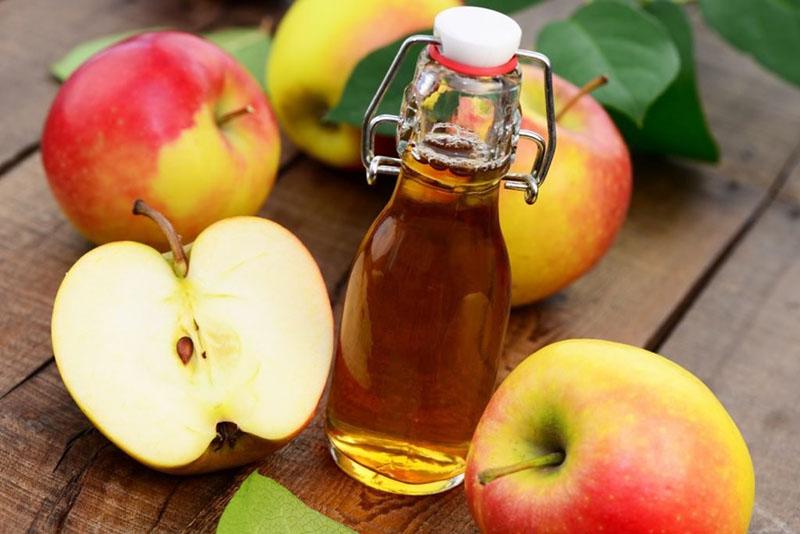 receta sencilla de vinagre de sidra de manzana casera