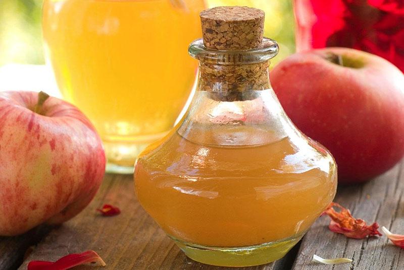 Receta sencilla de vinagre de sidra de manzana casera sin azúcar