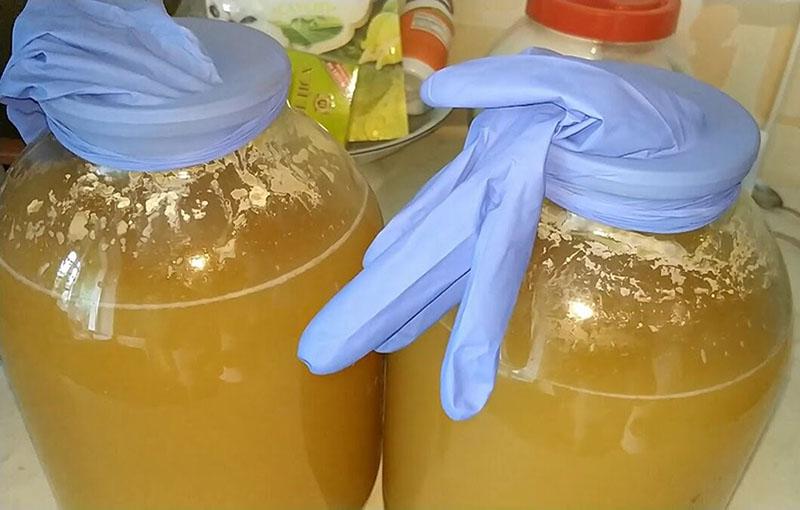 proceso de fermentación del mosto de manzana