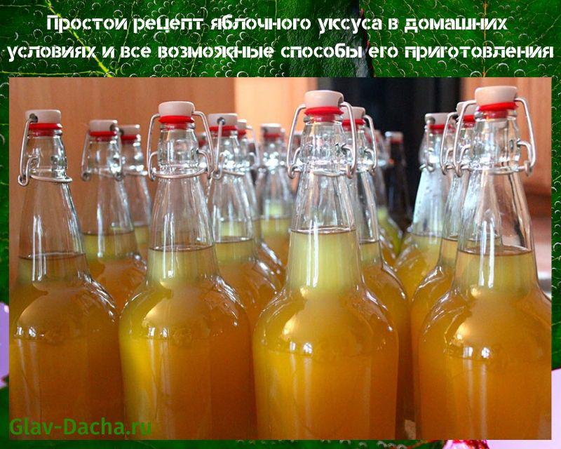 receta simple de vinagre de sidra de manzana casera