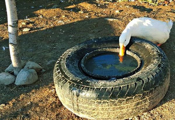 l'eau ne gèle pas