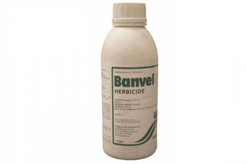 comment utiliser l'herbicide banvel