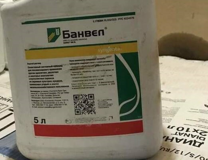 Mode d'emploi de l'herbicide Banvel