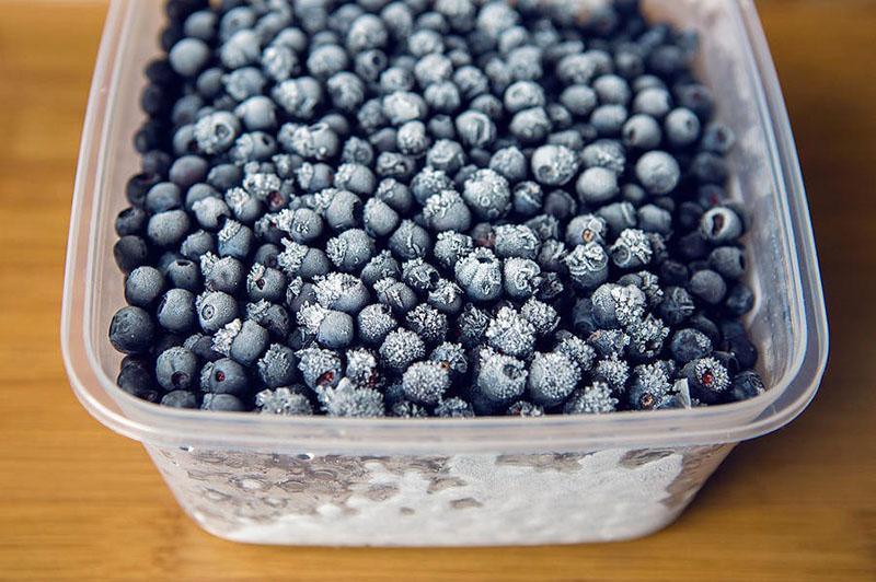 congelar sunberry en un recipiente de plástico