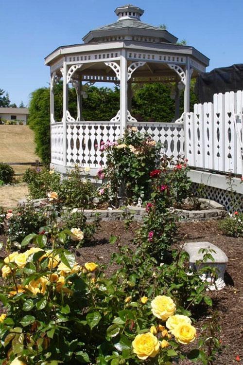 Gazebo à côté de la roseraie