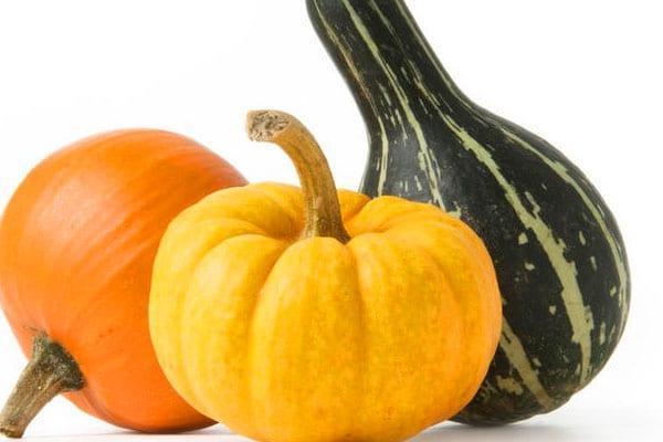 la calabaza es buena para el cuerpo humano