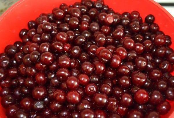 clasificar y lavar las cerezas