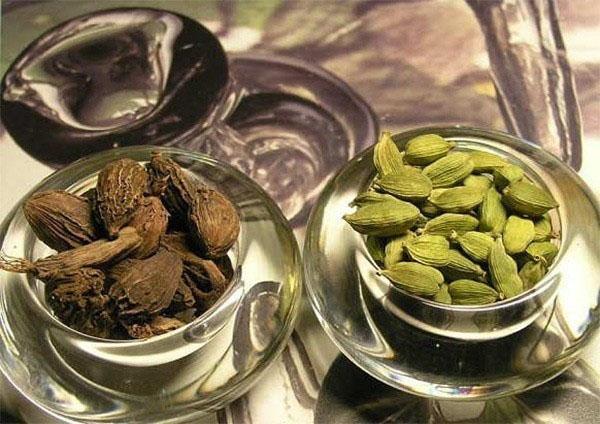 cardamome propriétés utiles et contre-indications