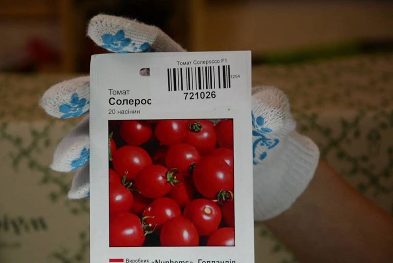 semillas de tomate de la tienda