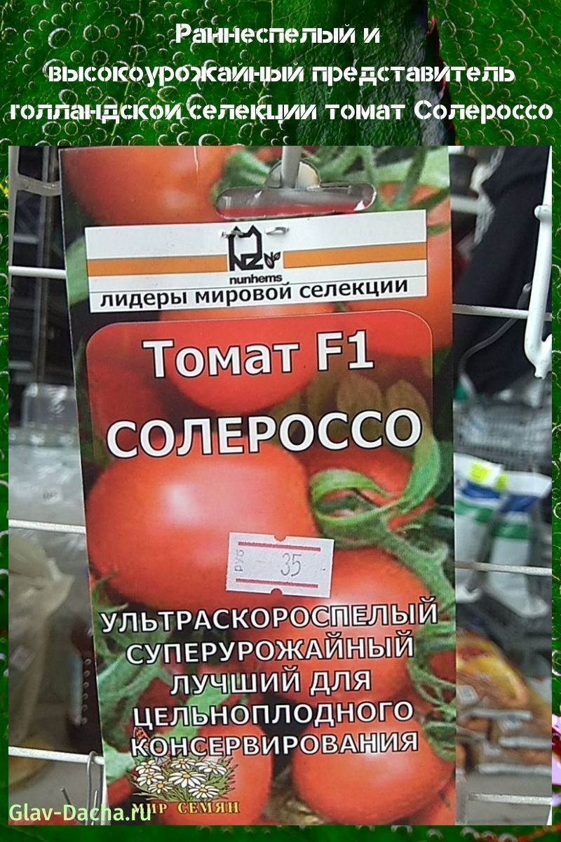 Tomate Solérosso