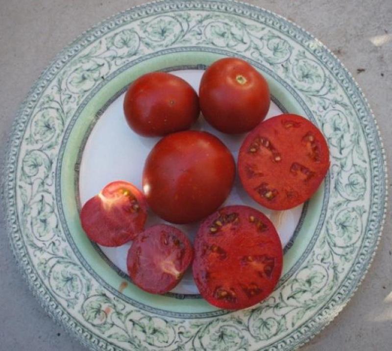 Yamal aux fruits à la tomate