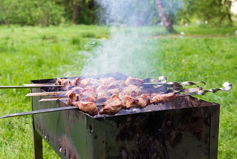 cómo freír barbacoa en la naturaleza