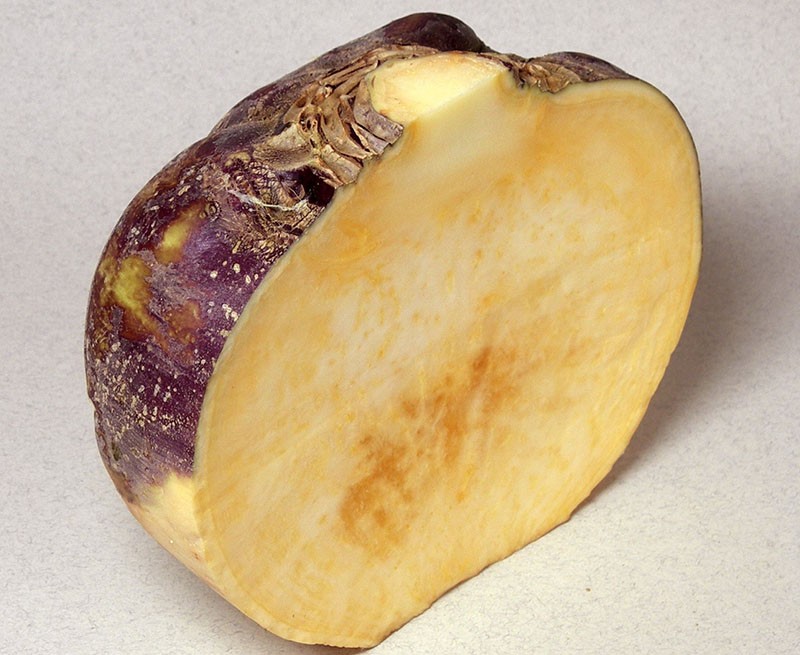 rutabaga cortada
