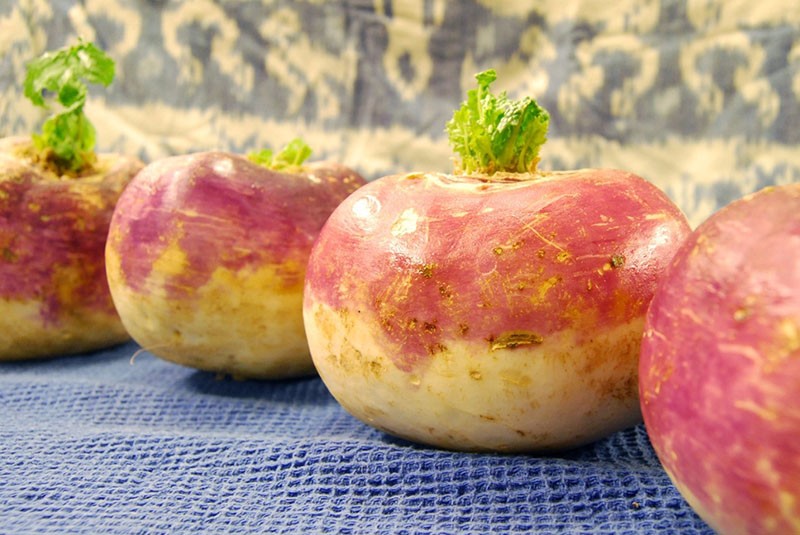 bienfaits du rutabaga sur la santé