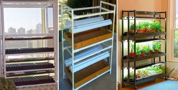 estante de plántulas en el alféizar de la ventana