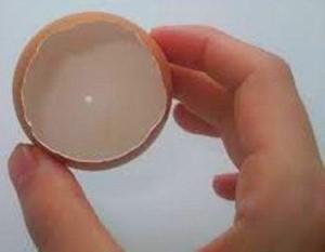 cáscara de huevo