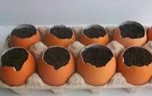 ollas de huevos