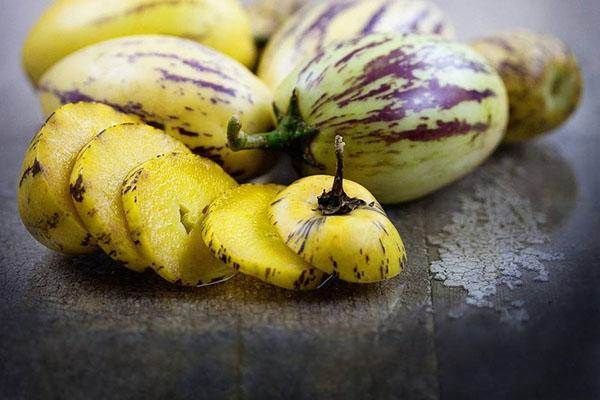 comiendo pepino fresco