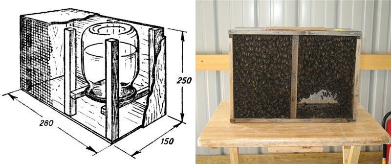 dimensiones de un paquete de panal