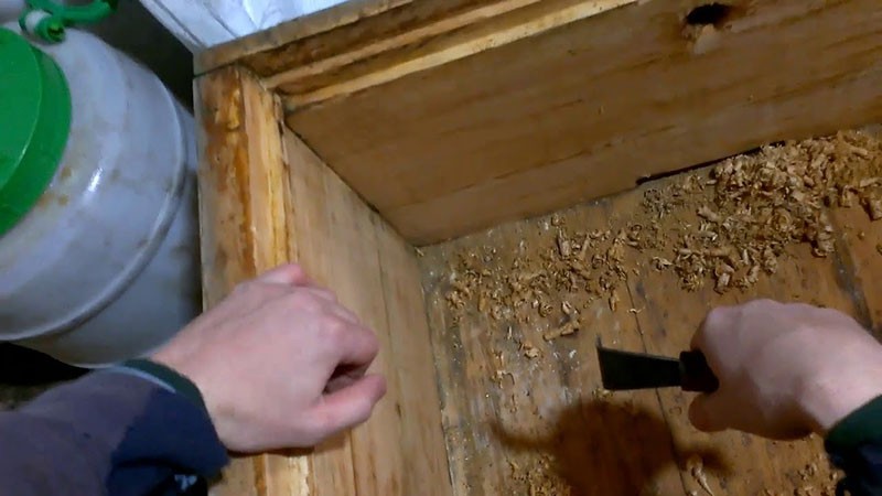 préparation de la ruche pour l'installation d'un colis d'abeilles