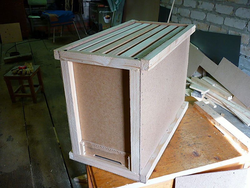 creando un paquete de abejas en casa