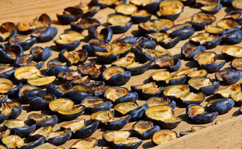 cómo secar ciruelas en casa al sol