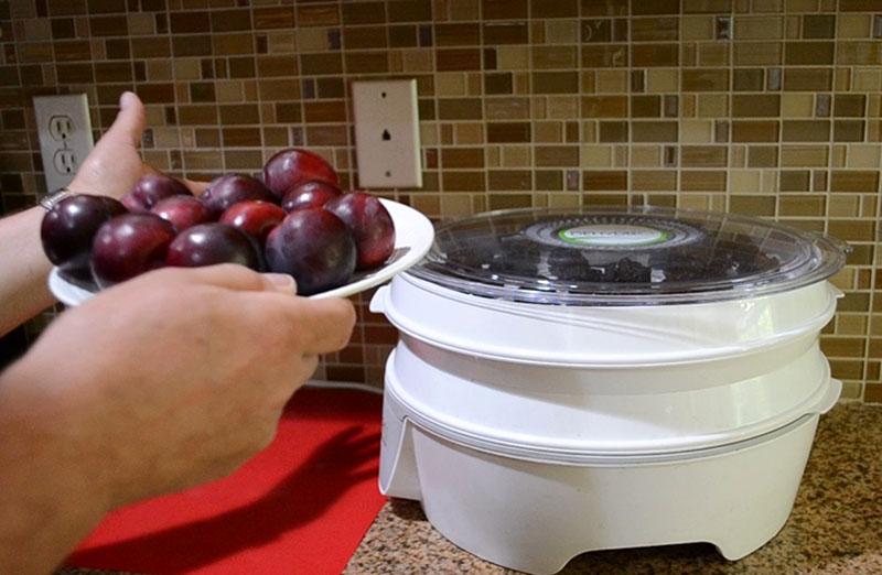 comment sécher les prunes à la maison dans un séchoir électrique