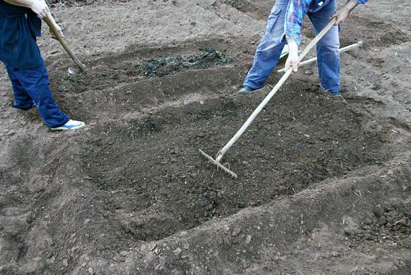 preparación de camas