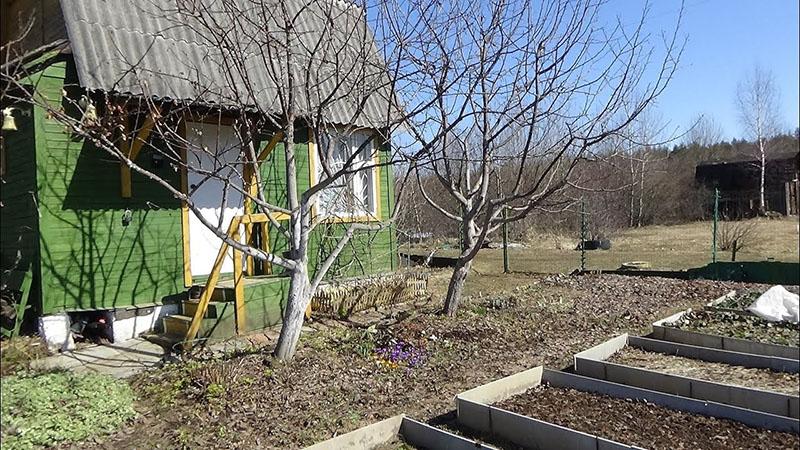 dates de plantation avant l'hiver