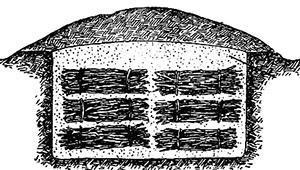 Conservation des pommes de terre dans des fosses fermées