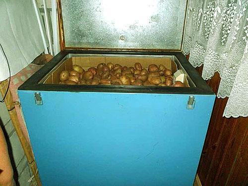 Pommes de terre dans une boîte sur le balcon