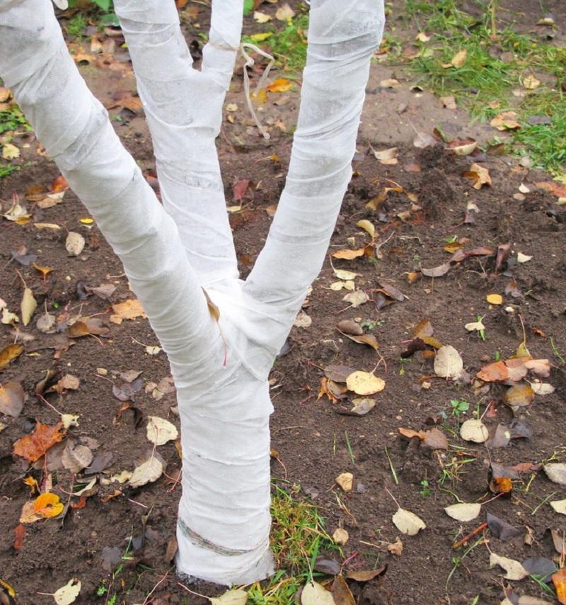 emballage de baril avec un bandage spécial