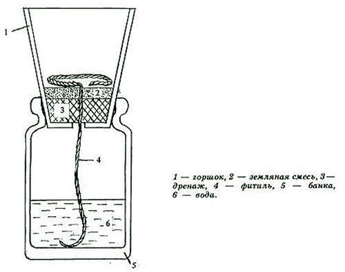 Système d'irrigation à mèche