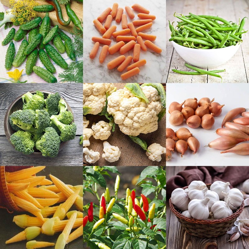 légumes à conserver
