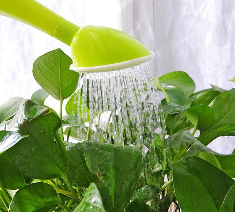 application d'engrais liquides